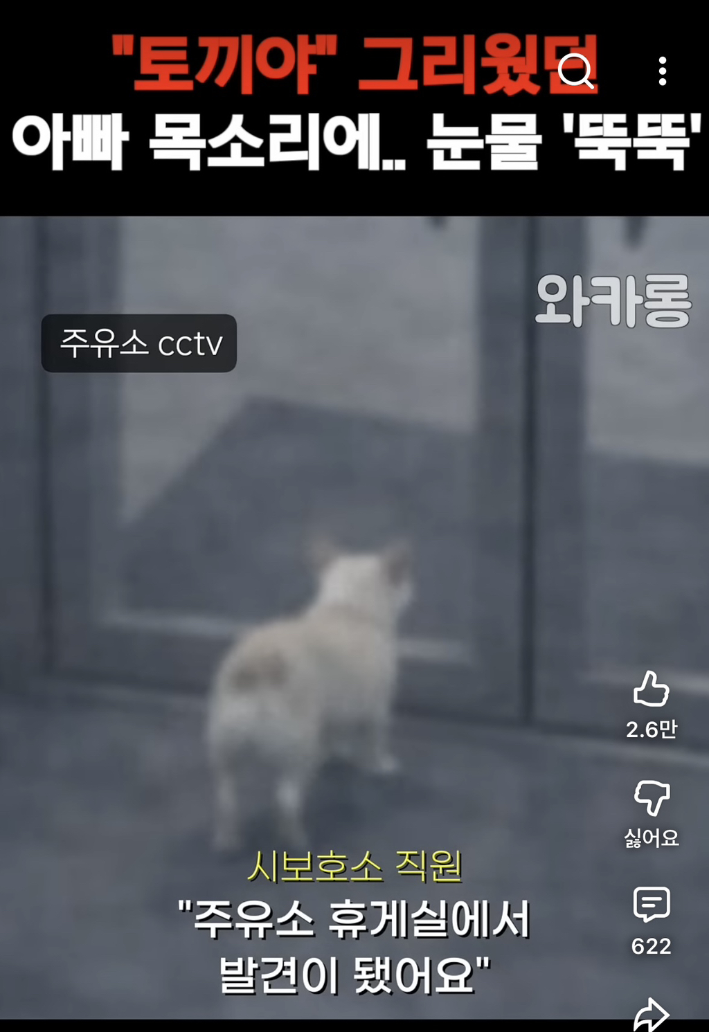 하루-아침에-헤어졌던-아빠-목소리에-눈물-흘리는-강아지-0-이미지