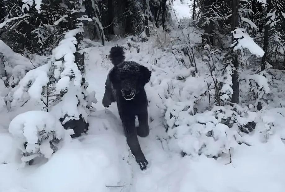 나는-이것이-먼저-보였다-0-이미지