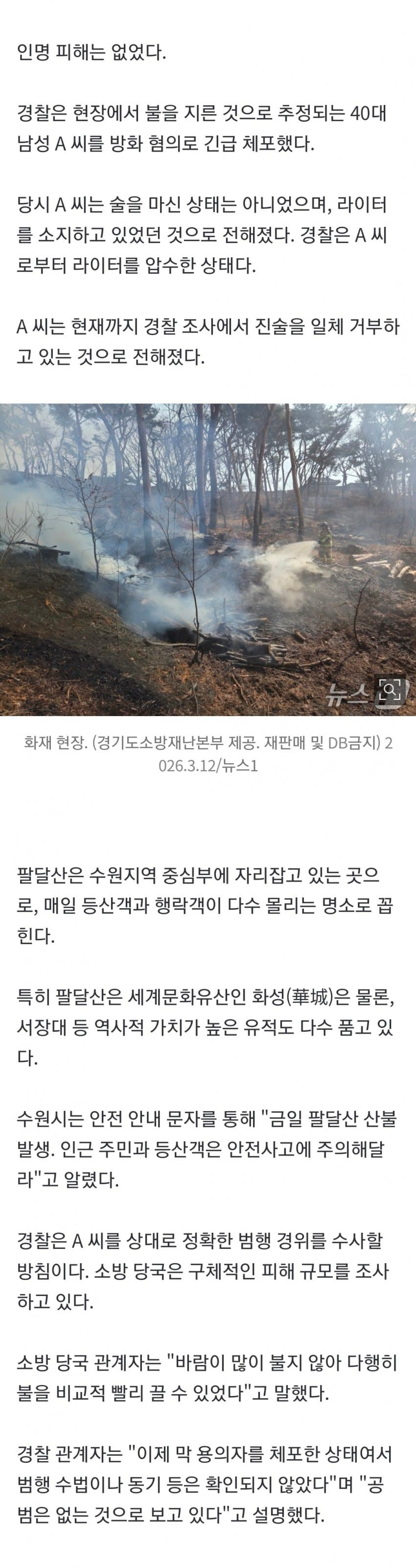 수원-팔달산-다-태우려했나...-방화-용의자,-7곳에-불-질렀다-1-이미지