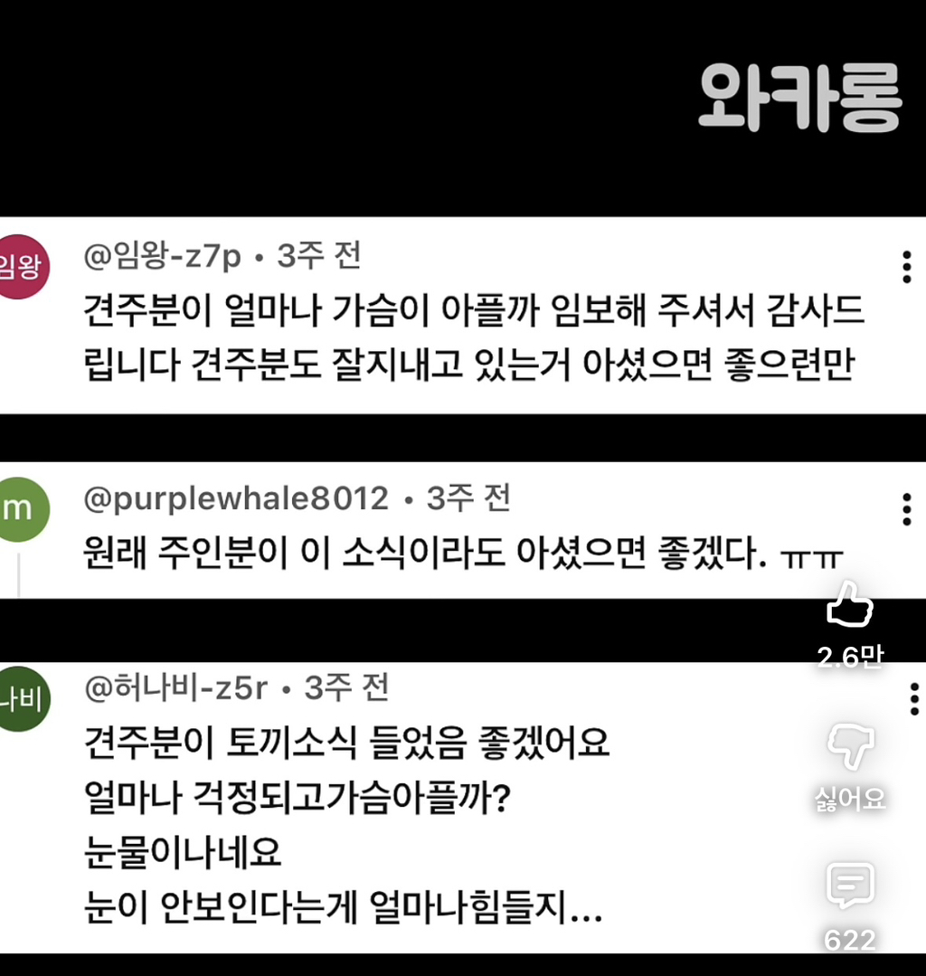 하루-아침에-헤어졌던-아빠-목소리에-눈물-흘리는-강아지-1-이미지