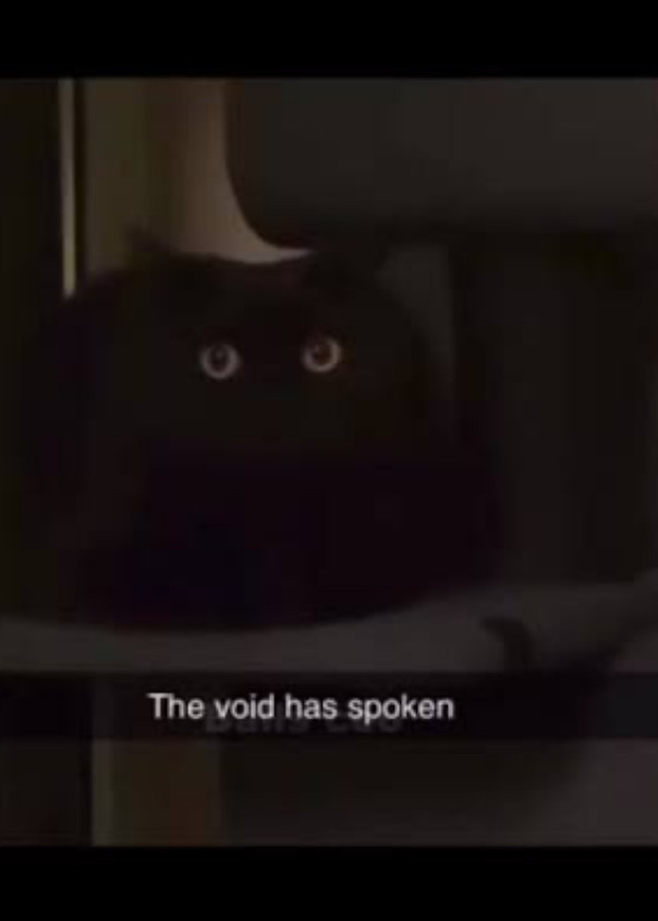 서양권-고양이-밈-모음-3-이미지