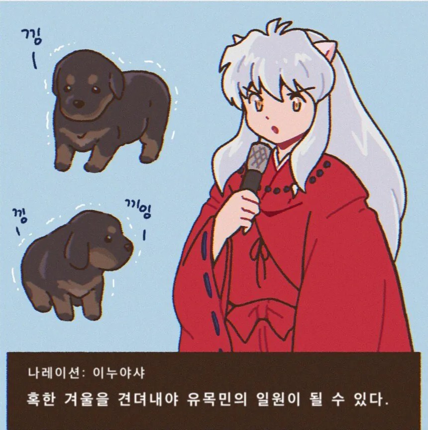 몽골-추위에-떠는-강아지들-0-이미지