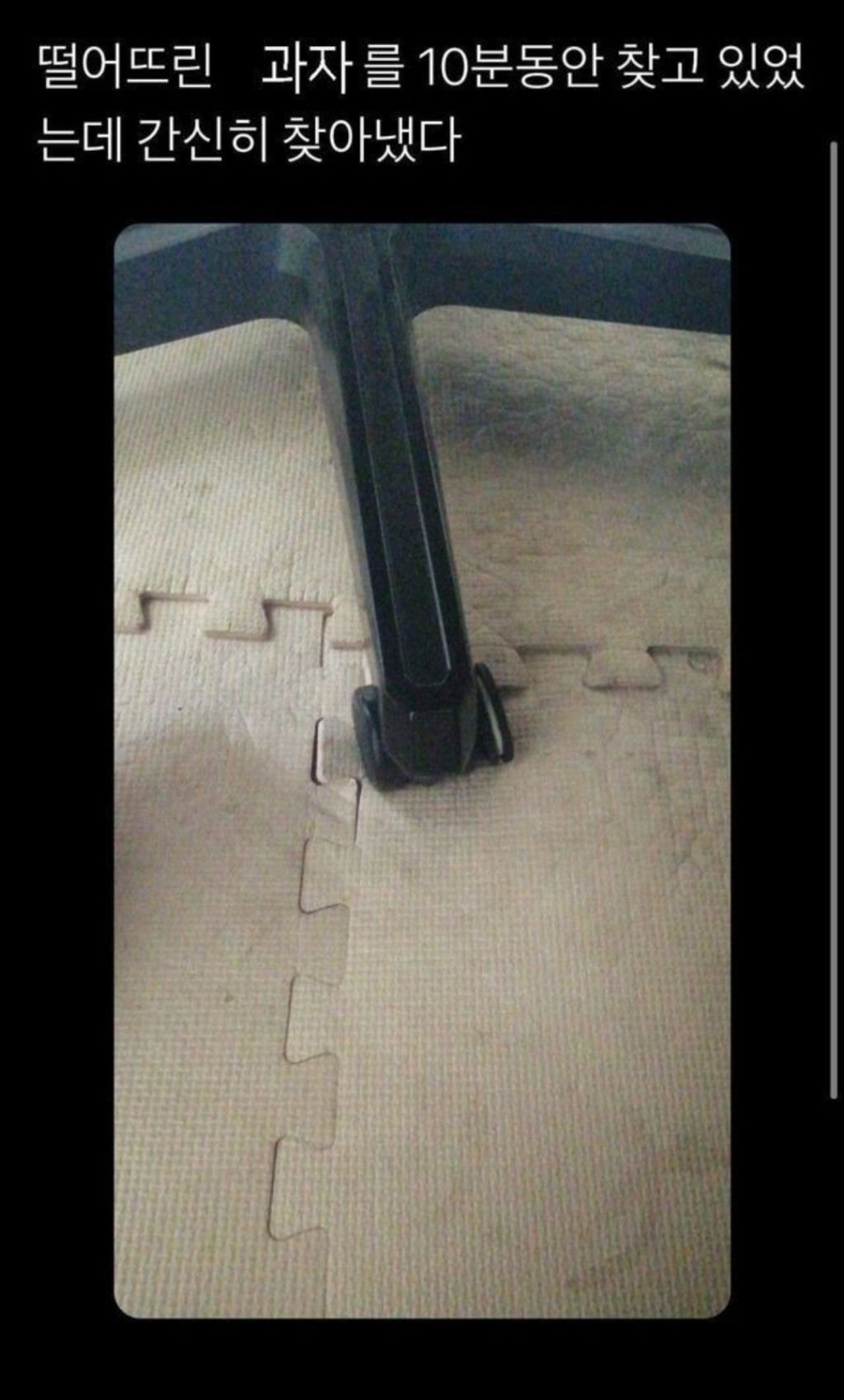 10분만에-겨우-찾은-떨어뜨린-과자-.jpg-1-이미지