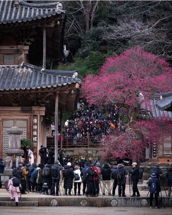 무료로-파파라치-체험-할-수-있다는-국내명소.jpg-1-이미지