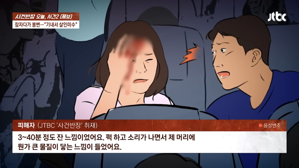잠자다가-봉변…-기내에서-살인미수-20-이미지