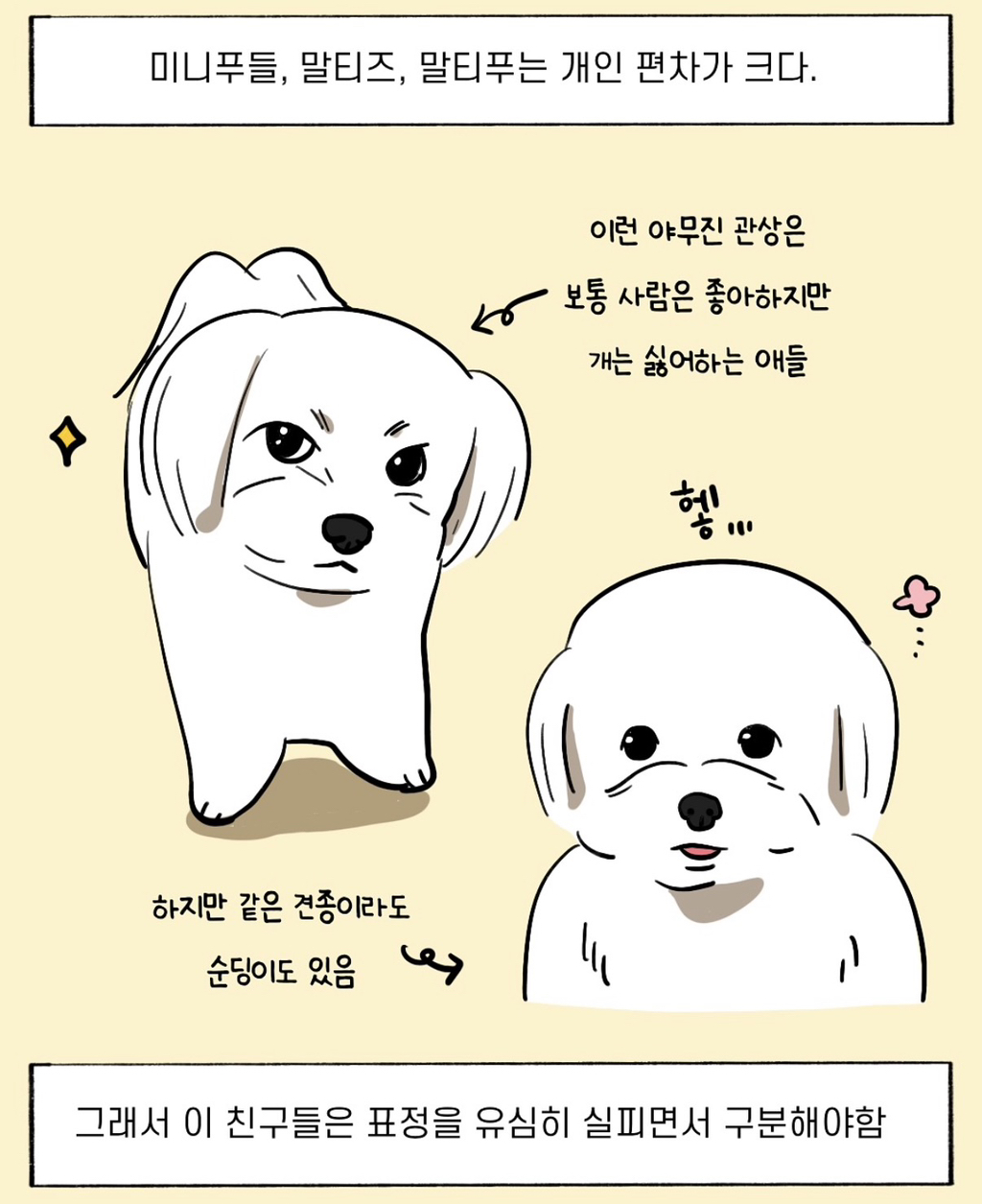 개-키우면-생기는-능력-~강아지-관상가~-4-이미지