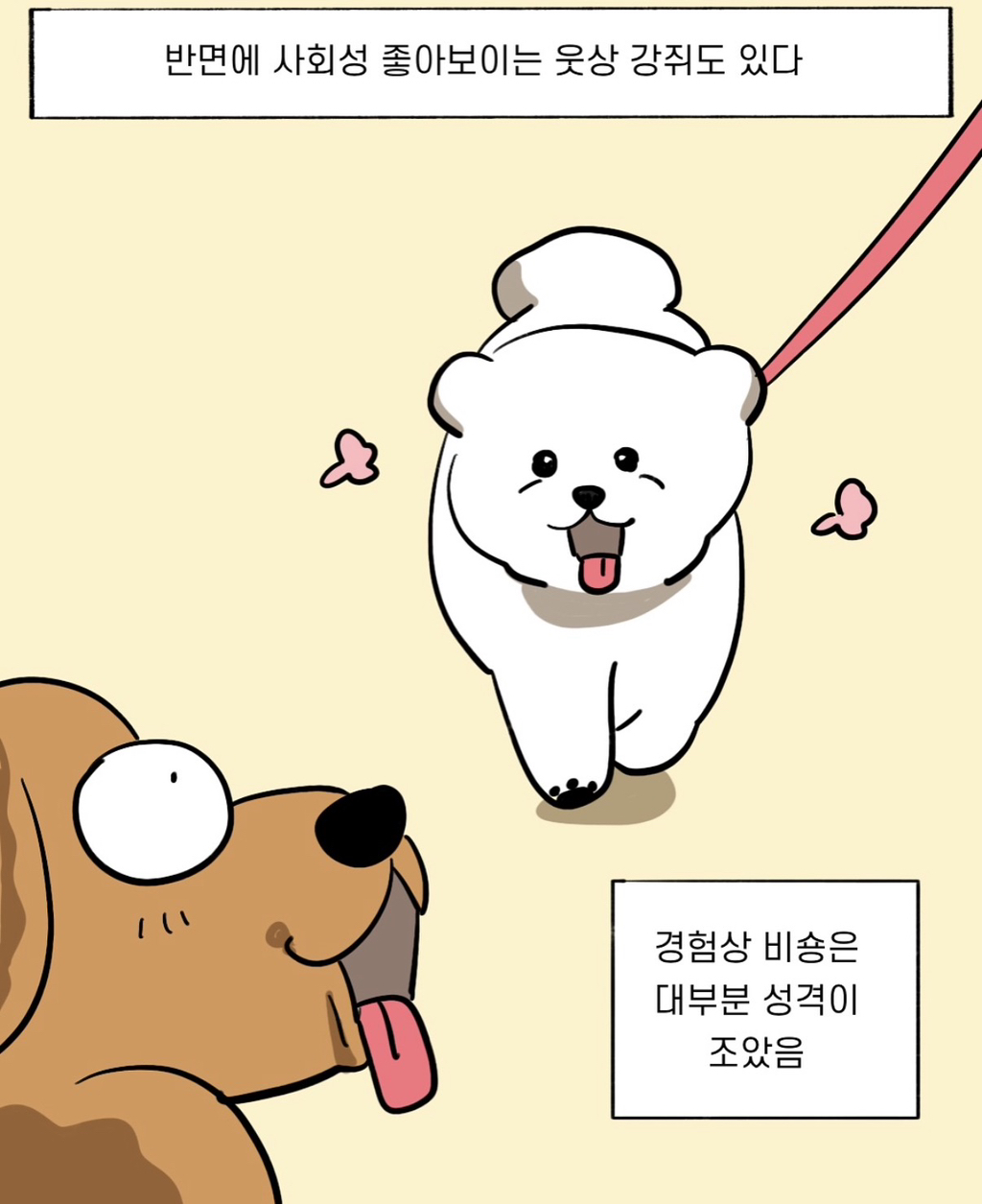 개-키우면-생기는-능력-~강아지-관상가~-3-이미지