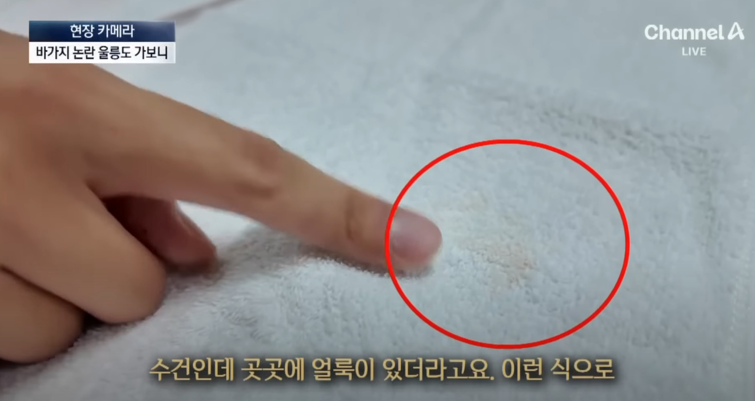 진짜-망할각-잡혔다는-울릉도-관광-9-이미지