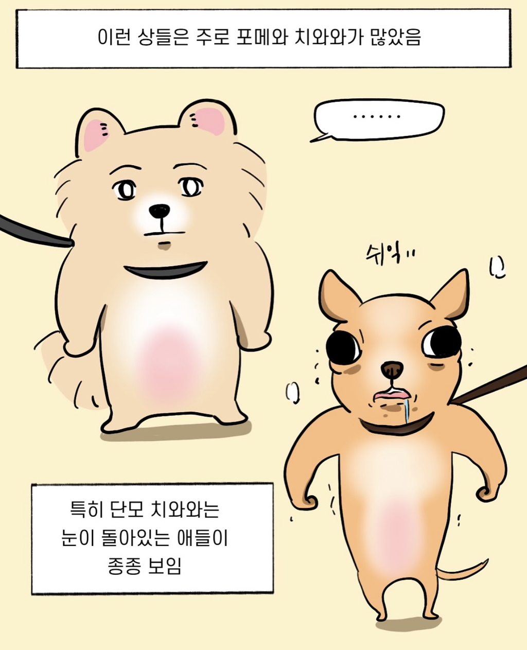 개-키우면-생기는-능력-~강아지-관상가~-2-이미지