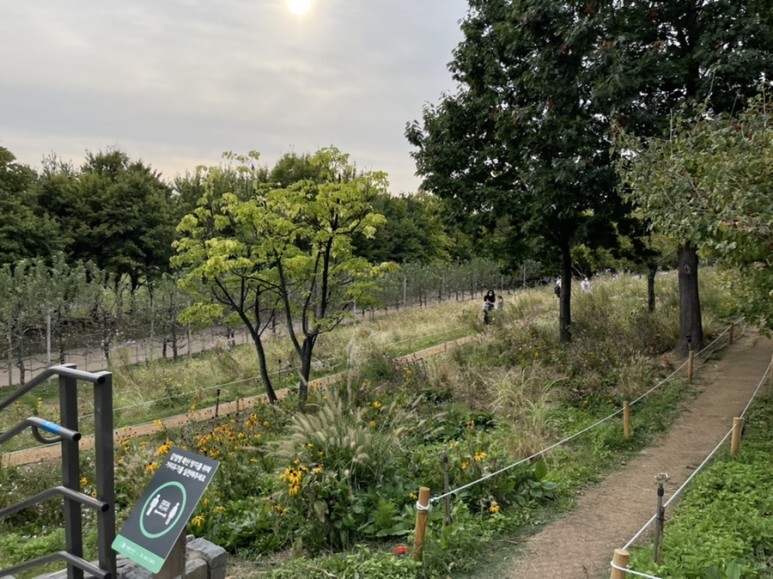 생각보다-주거지-삶의-질에-영향-주는-것.jpg-2-이미지