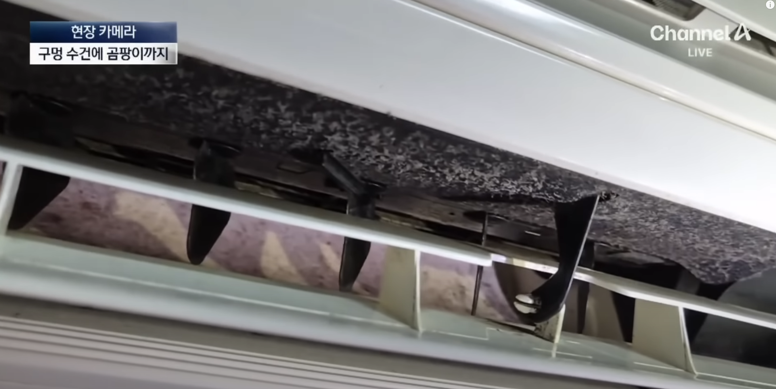 진짜-망할각-잡혔다는-울릉도-관광-11-이미지