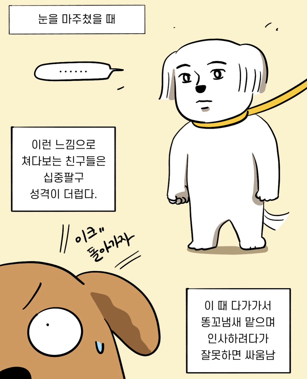 개-키우면-생기는-능력-~강아지-관상가~-1-이미지