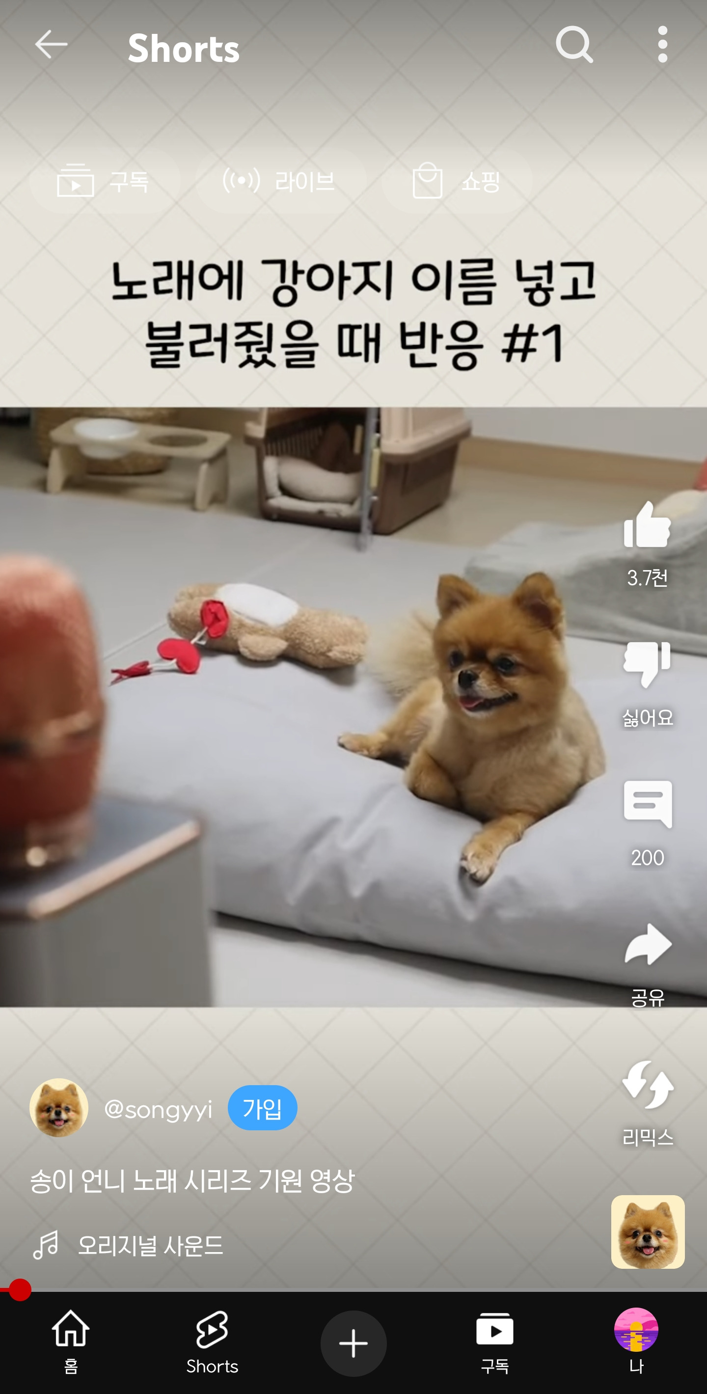 강아지한테-이름-넣어-노래-불러주면-😇-0-이미지