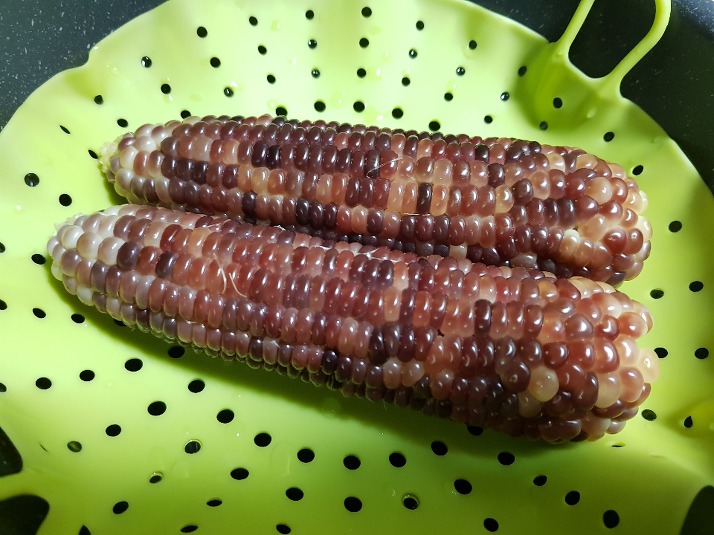 이제는-인기없는-옥수수...jpg-9-이미지