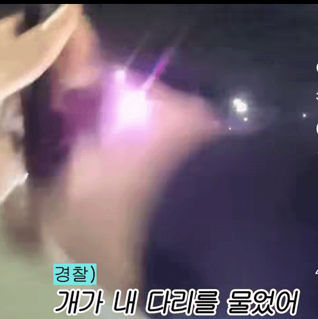 개를-쏴죽인-경찰-:-미국에서-찬반-논란중-2-이미지