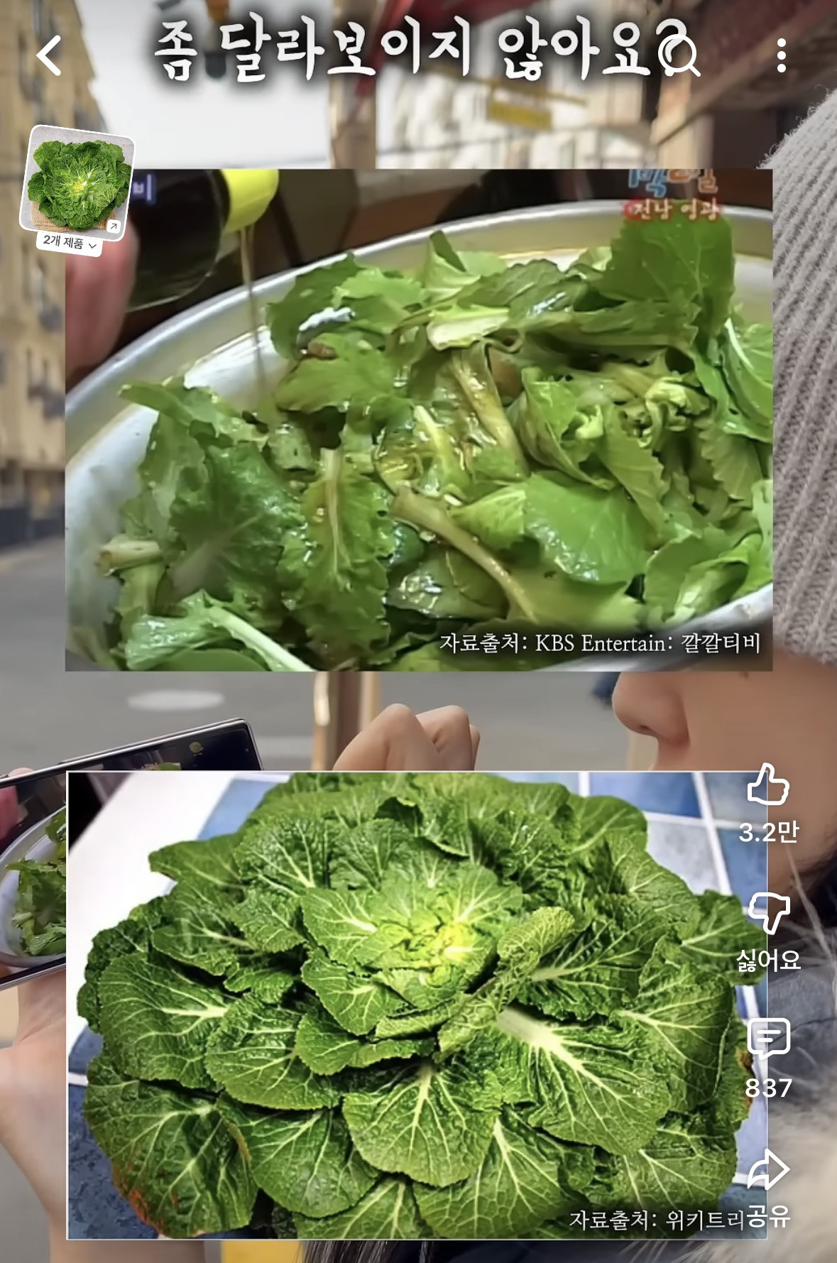 강호동-봄동비빔밥이-진짜-봄동인지-궁금해서-시장에-물어보고-다닌-유튜버-ㅋㅋㅋ-0-이미지