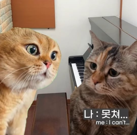 초딩때-피아노-배운-사람들-특징-1-이미지