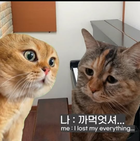 초딩때-피아노-배운-사람들-특징-3-이미지