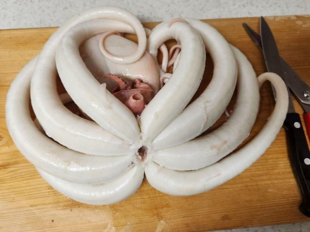 인터넷-커뮤니티-해산물-세척-삼대장.jpg-5-이미지