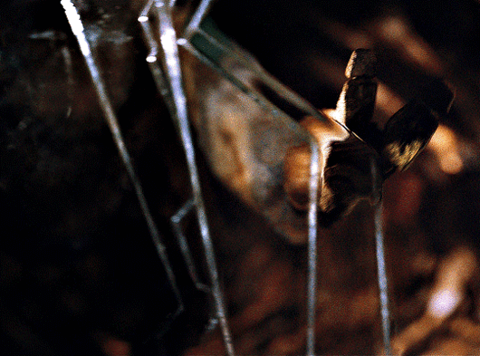 ＜프로젝트-헤일메리＞에서-가장-기대되는-부분.jpgif-2-이미지