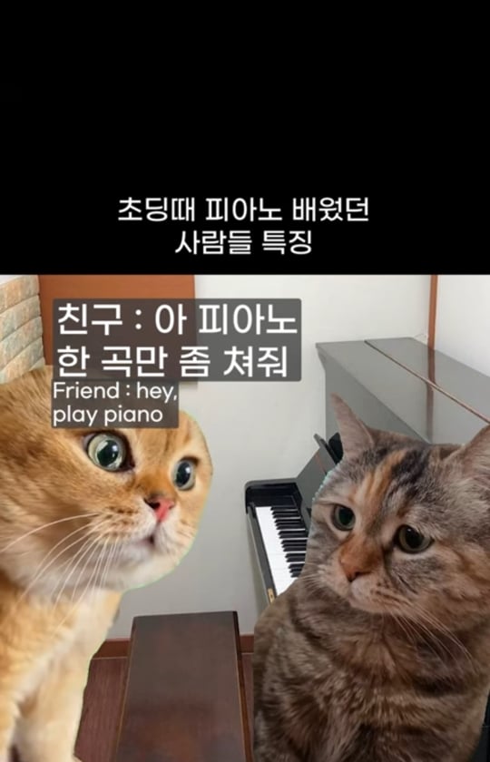 초딩때-피아노-배운-사람들-특징-0-이미지