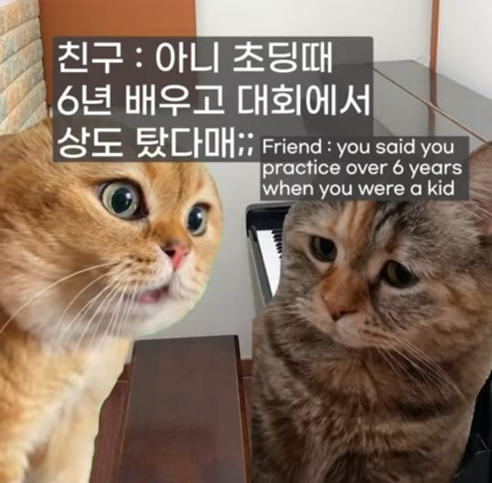 초딩때-피아노-배운-사람들-특징-2-이미지