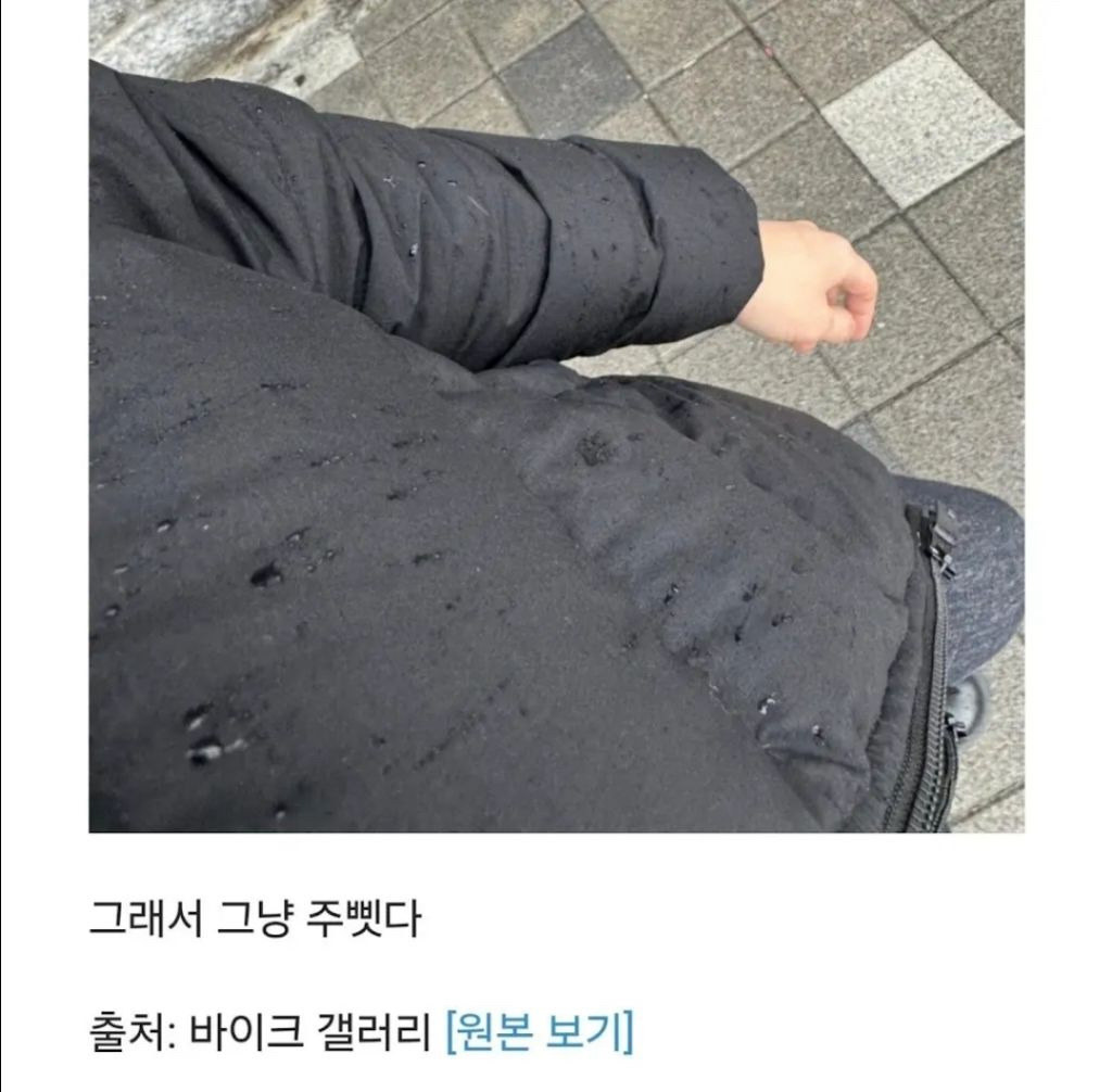 우산-없이-걸어가는-할머니.jpg-1-이미지
