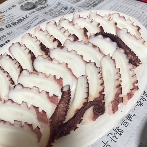 문어숙회-vs-오징어회-2-이미지