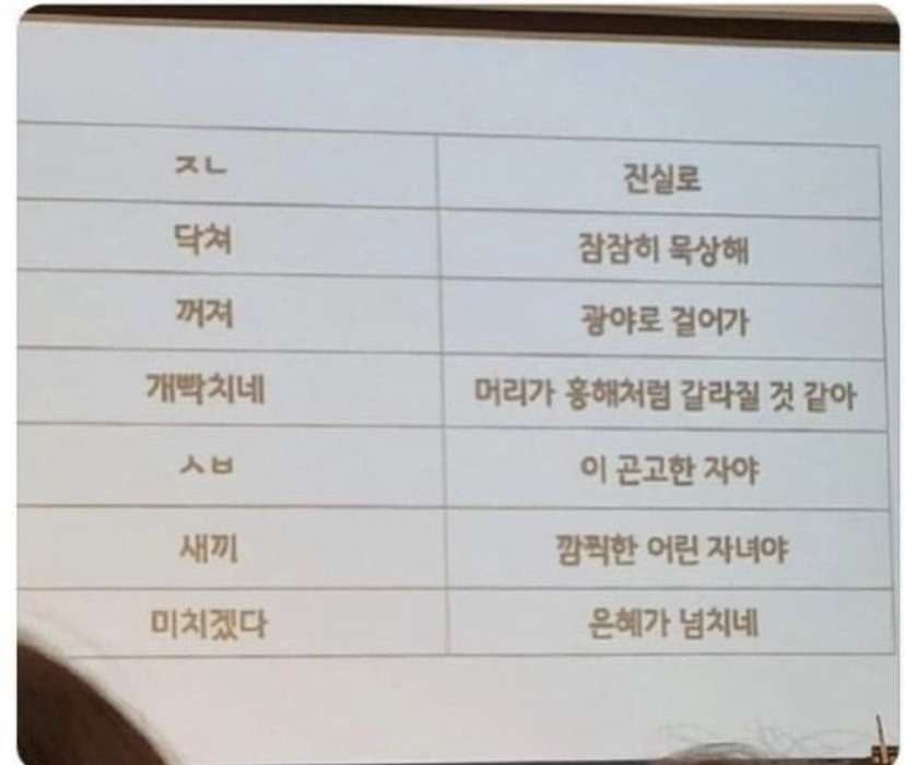 교회에서-욕대신-쓰라고-가르쳐-준-말-1-이미지