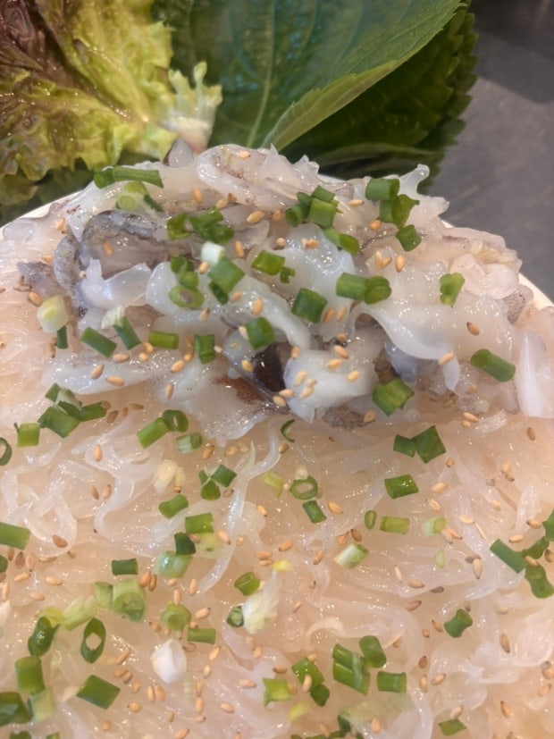 문어숙회-vs-오징어회-5-이미지