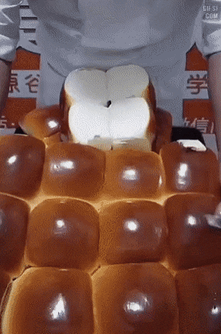 이-식빵의-질감이-궁금하다.gif-1-이미지