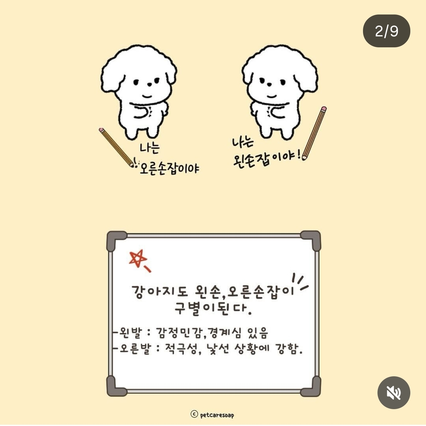 논문으로-밝혀진-반려견-행동들-9가지-1-이미지