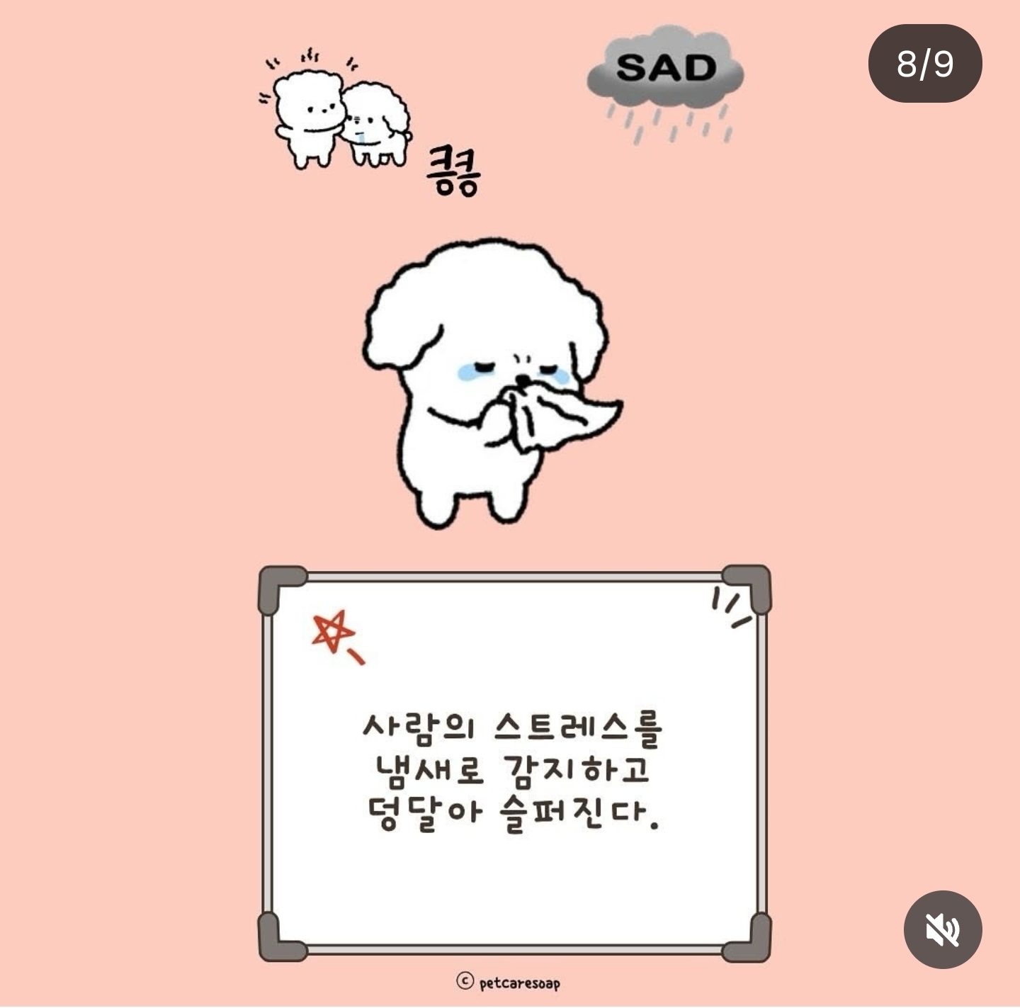 논문으로-밝혀진-반려견-행동들-9가지-7-이미지