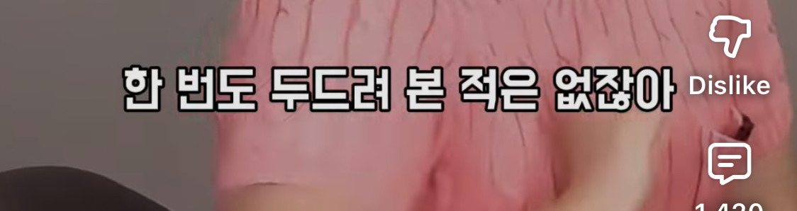 이수지가-수입-0원일때,-잊지-못하는-연예인-12-이미지