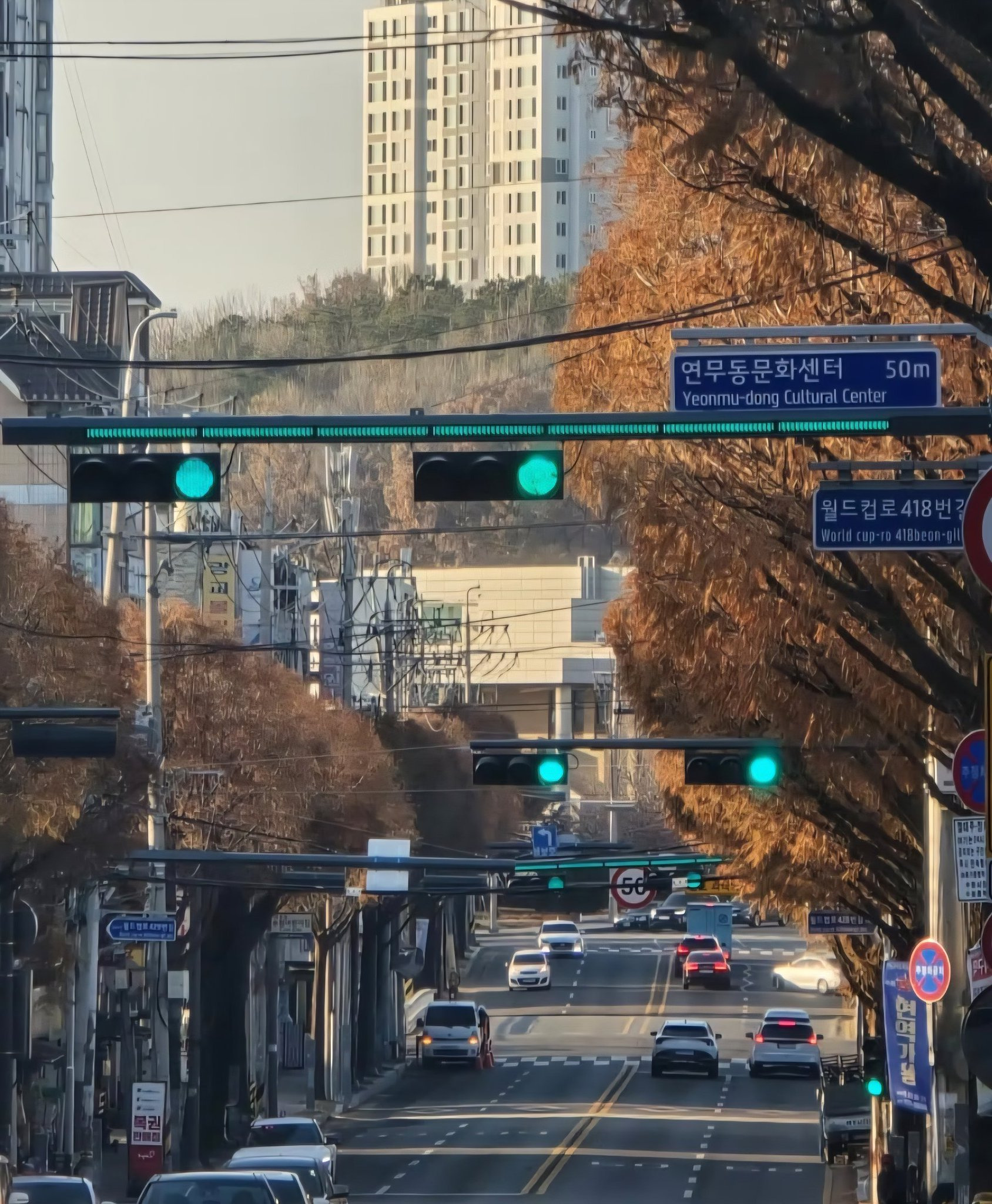 40년-만에-바뀌는-신호등-디자인.🚥-1-이미지