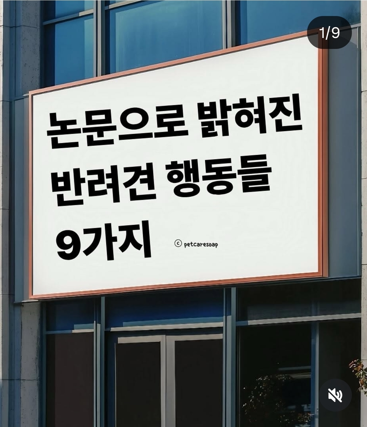 논문으로-밝혀진-반려견-행동들-9가지-0-이미지