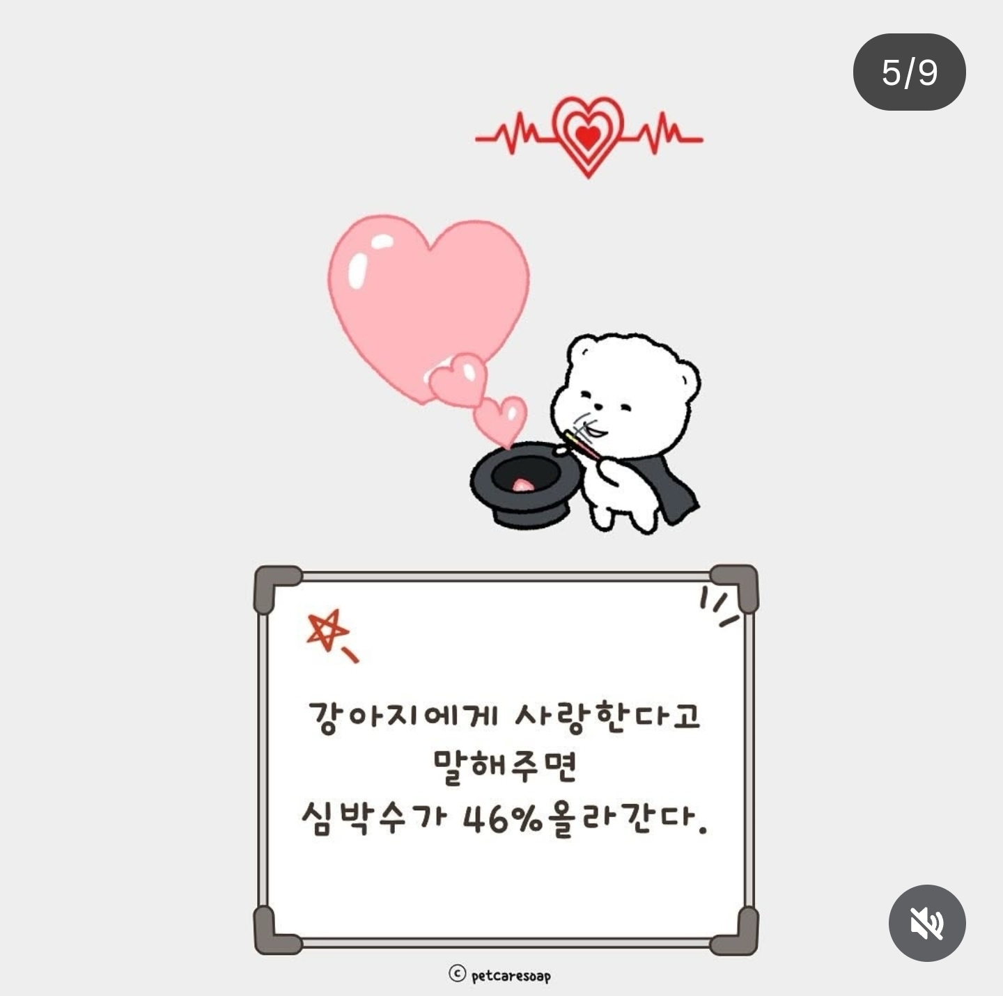 논문으로-밝혀진-반려견-행동들-9가지-4-이미지