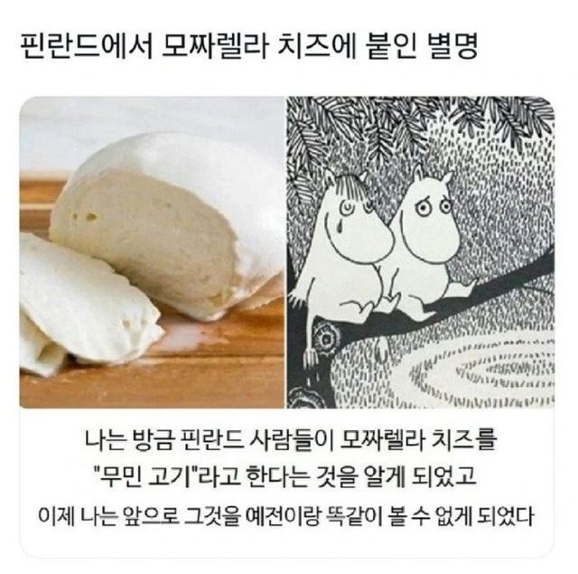 핀란드-사람들이-모짜렐라-치즈에-붙인-별명.jpg-0-이미지