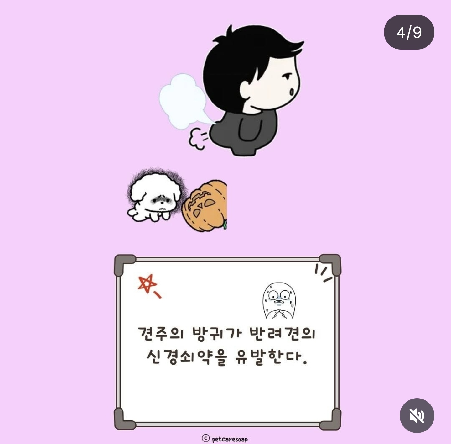 논문으로-밝혀진-반려견-행동들-9가지-3-이미지