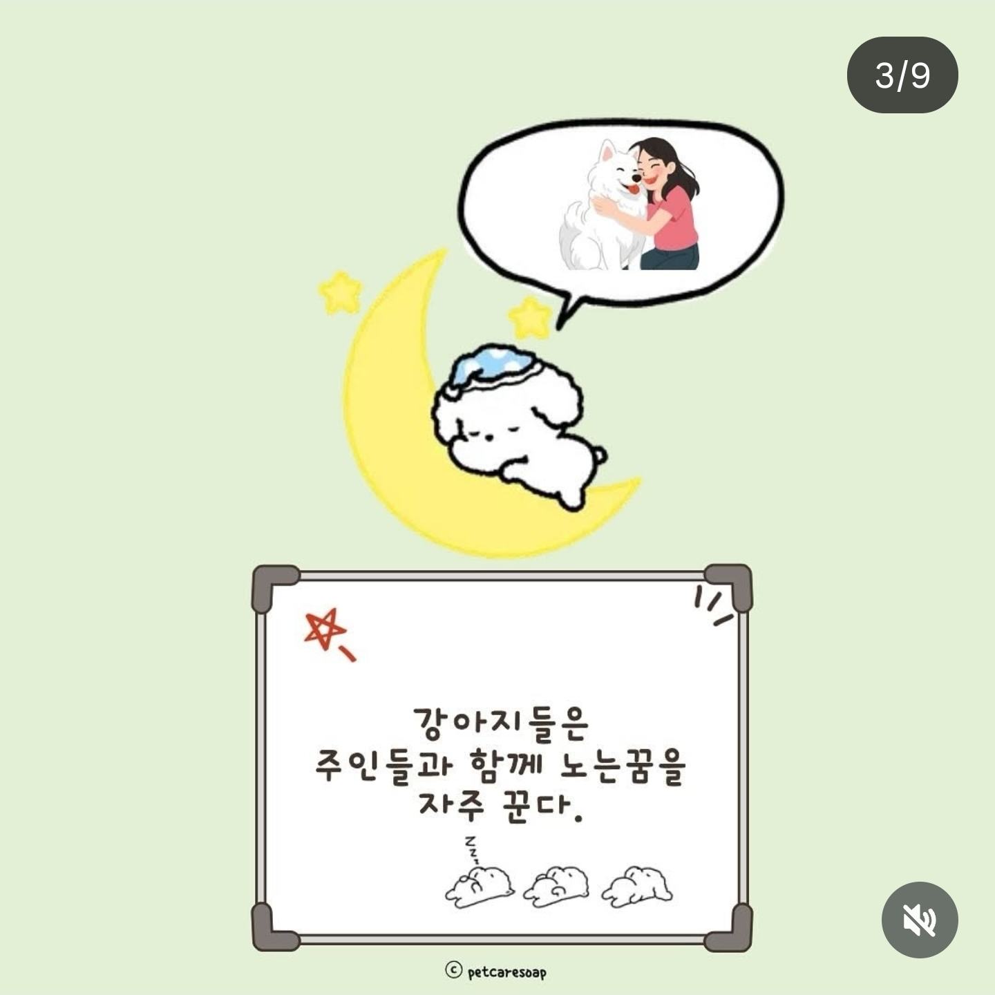 논문으로-밝혀진-반려견-행동들-9가지-2-이미지