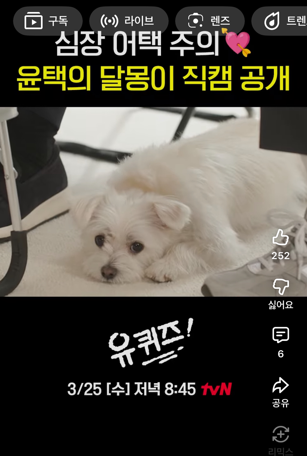 유퀴즈에-윤택이-입양한-강쥐-달몽이-출연예정-0-이미지