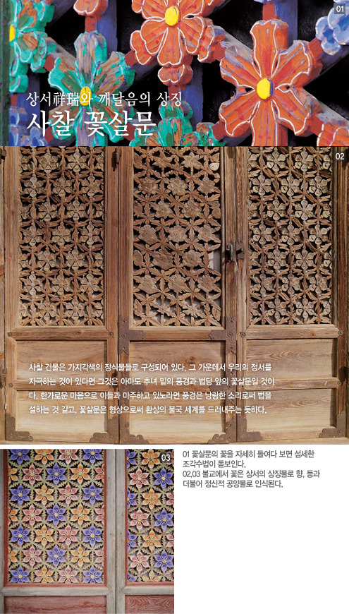 이정도면-한국-홍보대사-명예-훈장이라도-줘야될것-같은-아이돌-22-이미지