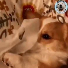 꿀피부-관리-방법-0-이미지