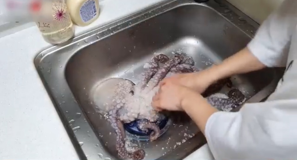 요리-영상-볼-때-돌아버릴-것-같은-장면.jpg-7-이미지