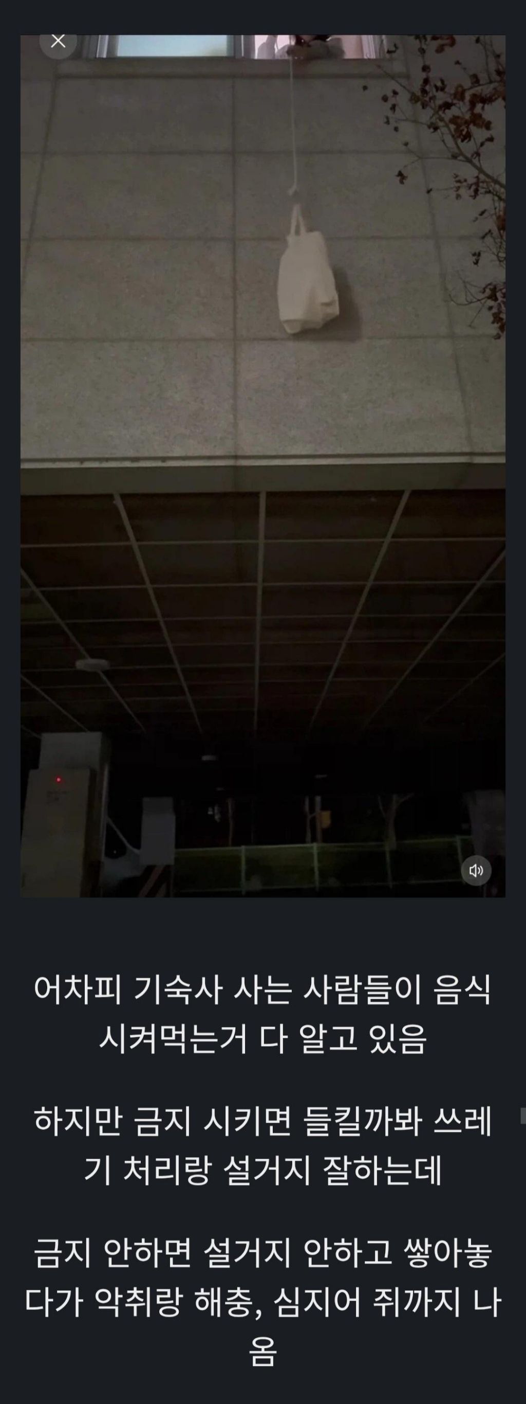 기숙사에서-음식-먹는거-금지하는-이유-1-이미지