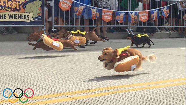 매년-미국-오하이오주에서-열리는-핫도그-달리기-대회-7-이미지