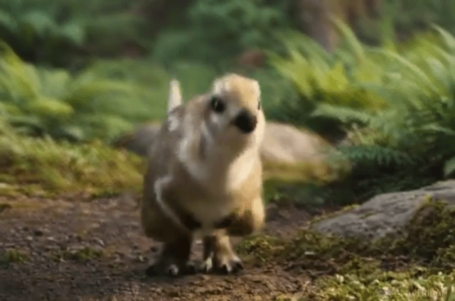 CG로-복원한-둘리사우루스-영상.GJF-3-이미지