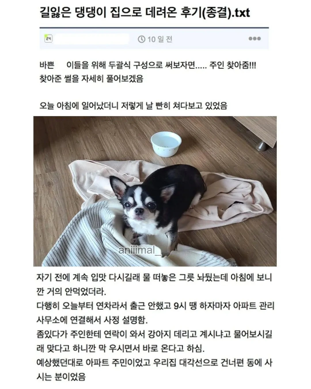아파트에-왠-댕댕이가-돌아다니는데-어캄-7-이미지
