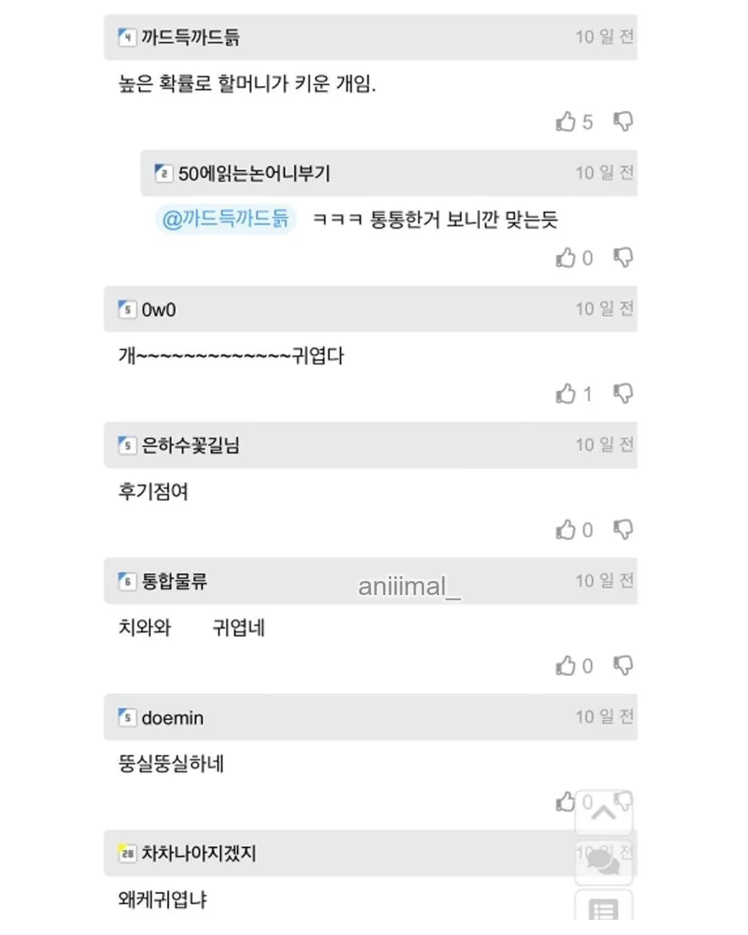 아파트에-왠-댕댕이가-돌아다니는데-어캄-6-이미지