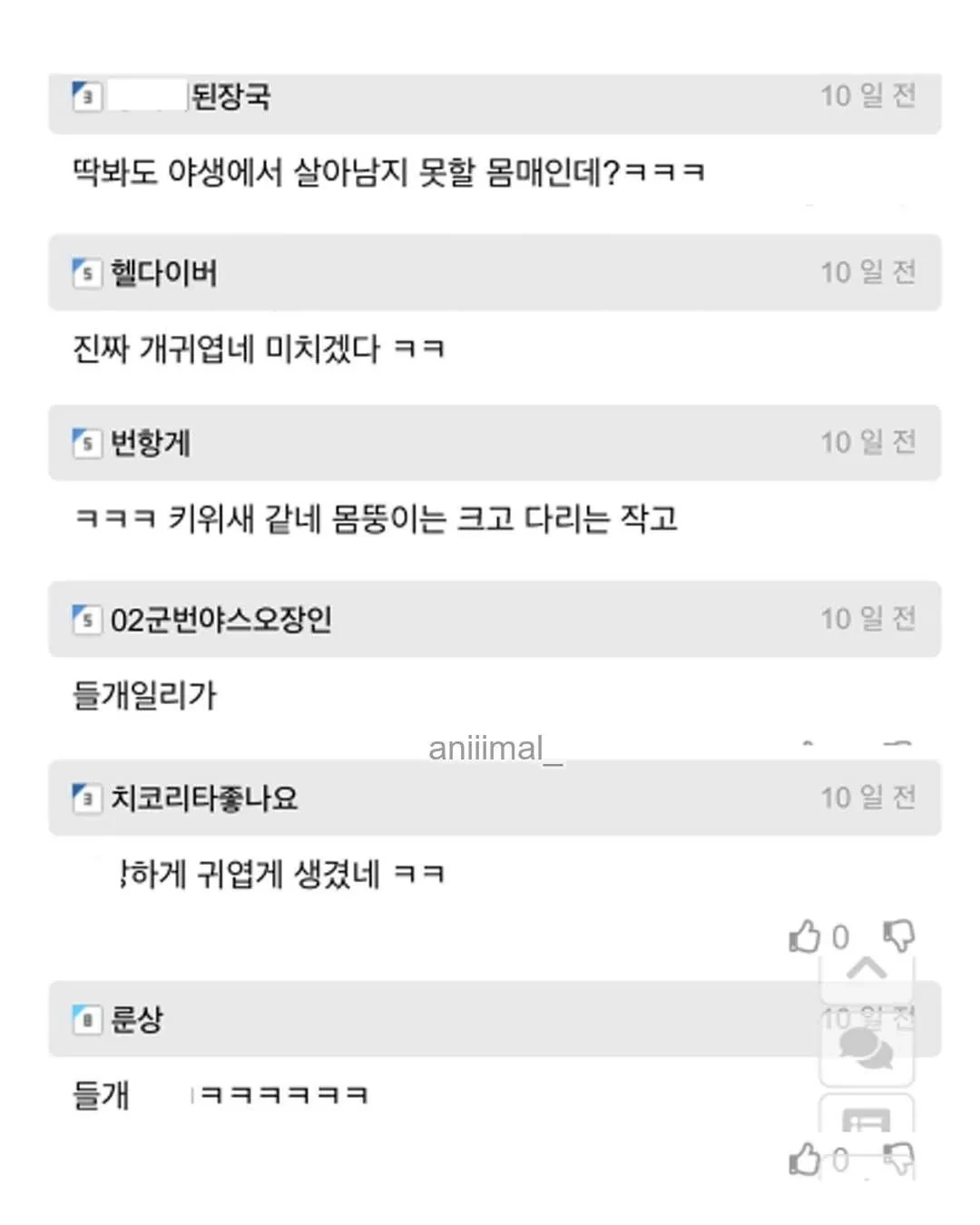 아파트에-왠-댕댕이가-돌아다니는데-어캄-3-이미지